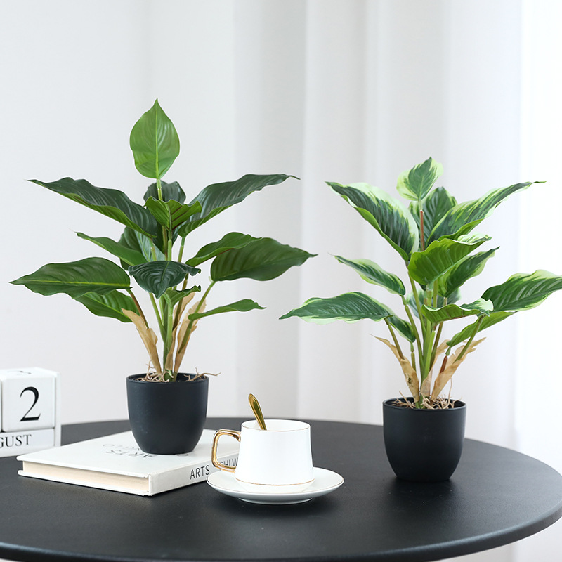 시뮬레이션 녹색 식물 포토스 화분 식물 가정 거실 데스 - Bonsai Garden Layout 리뷰 및 가격