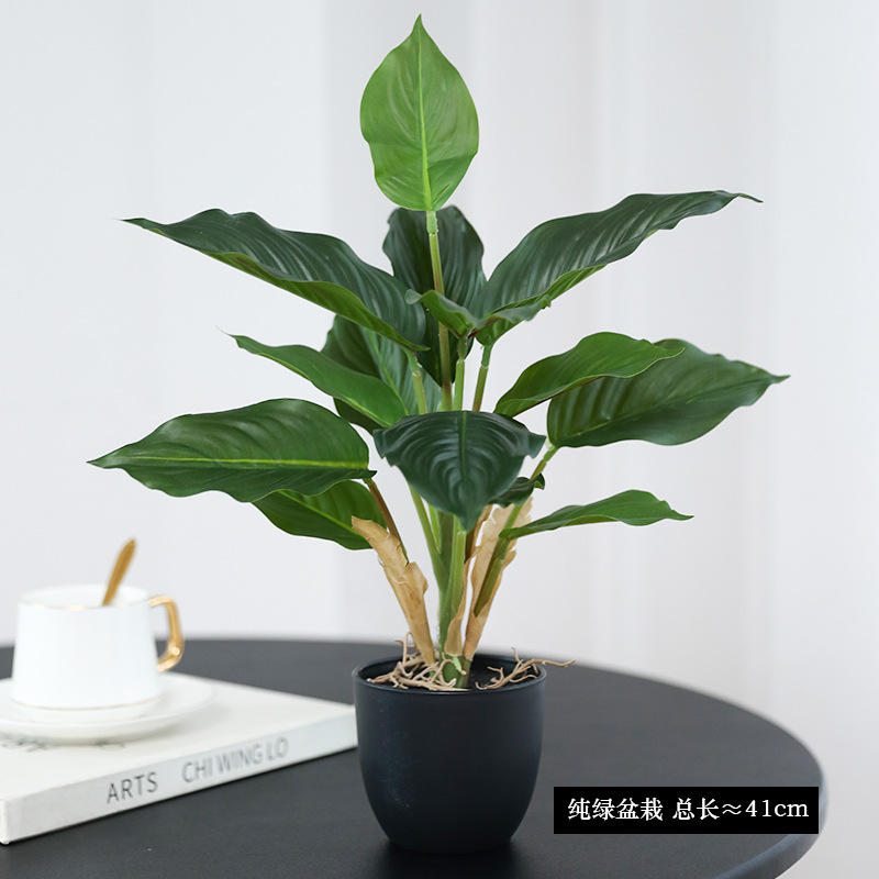 시뮬레이션 녹색 식물 포토스 화분 식물 가정 거실 데스 - Bonsai Garden Layout 리뷰 및 가격