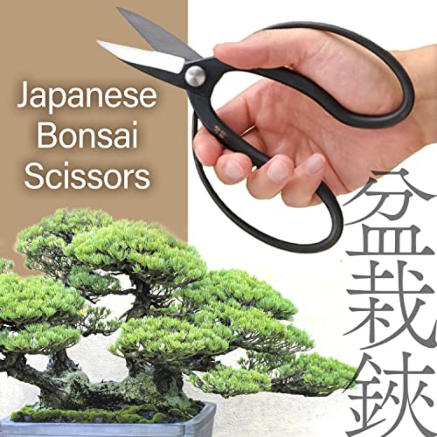 일본 수이류 분재 가위 - 전통 하사미 전정 가위, 일 - Bonsai Garden Japan 리뷰 및 가격