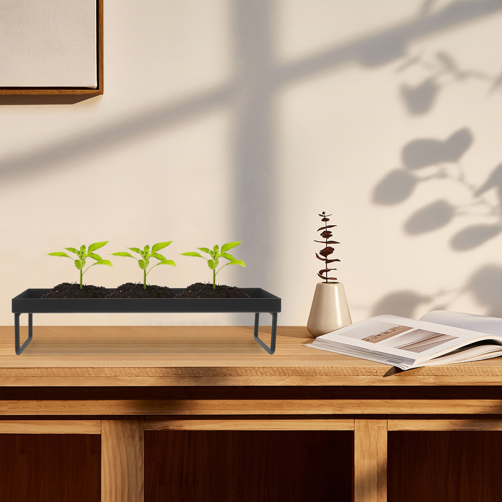 금속 철제 화분 직사각형 소형 화분 트레이 실내 미니  - Bonsai Garden Layout 리뷰 및 가격