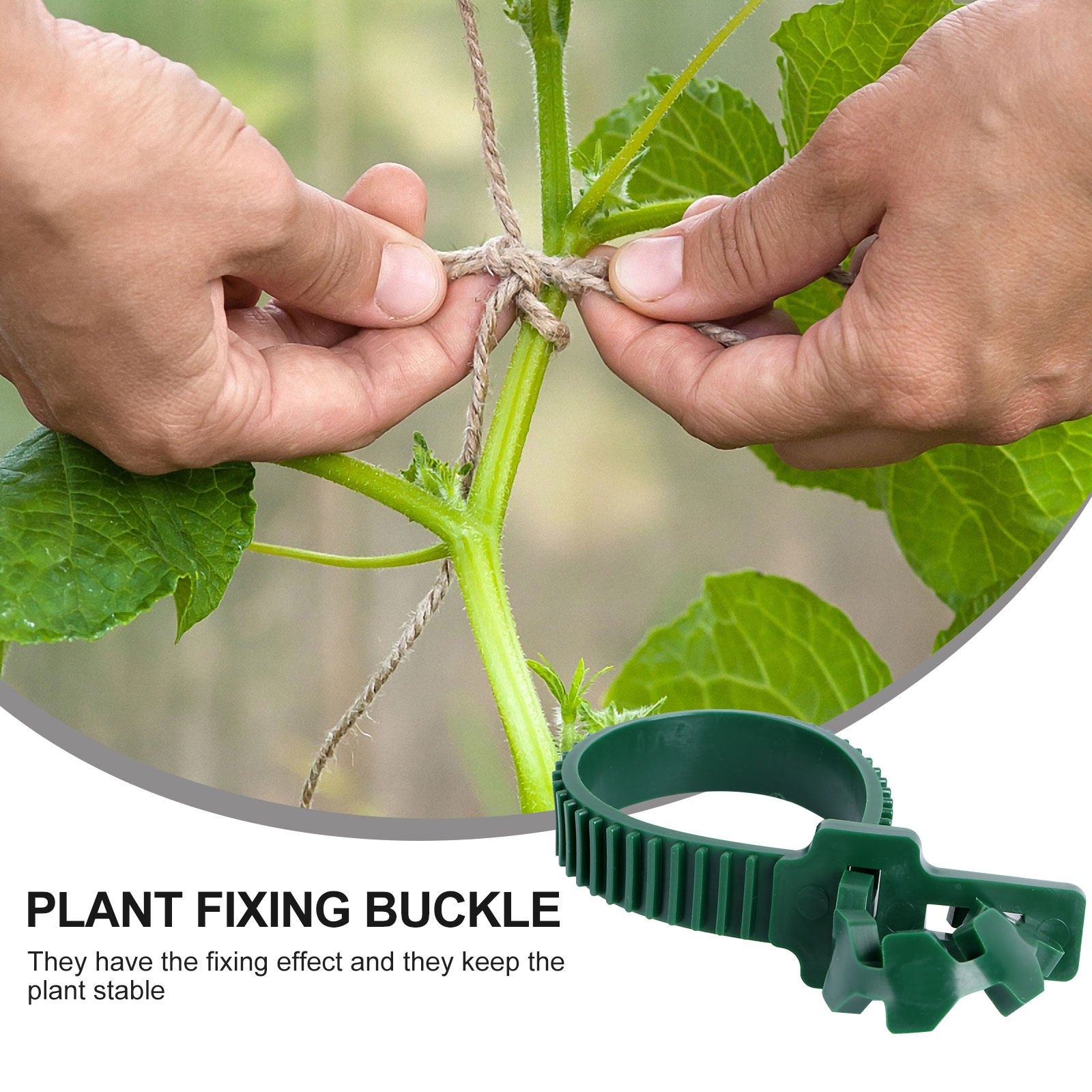 20개입 덩굴 고정 버클 정원 식물 지지 클립 PVC  - Bonsai Gardener 리뷰 및 가격